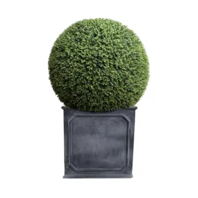 39" Faux Boxwood Ball in Square Planter