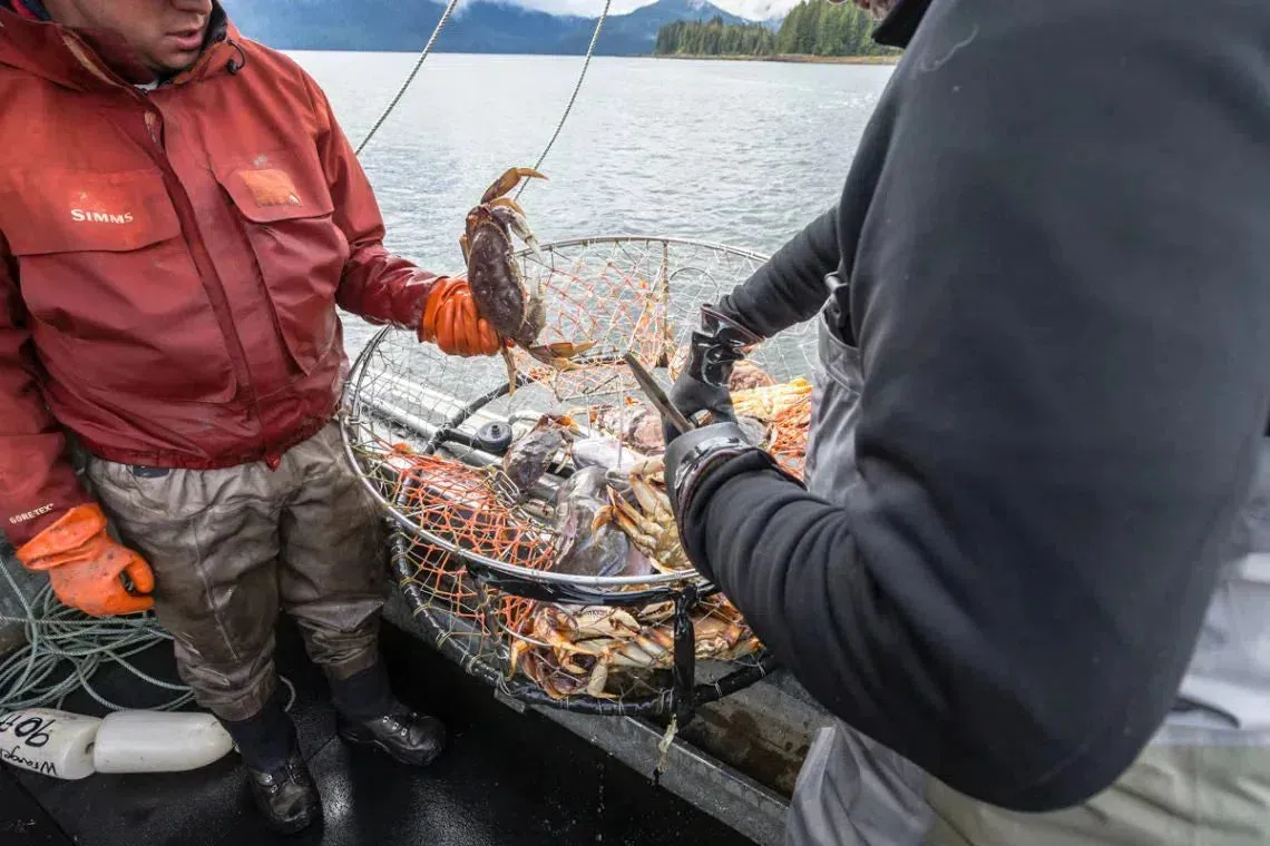 Chrome Chasers Fall Fish and Forage