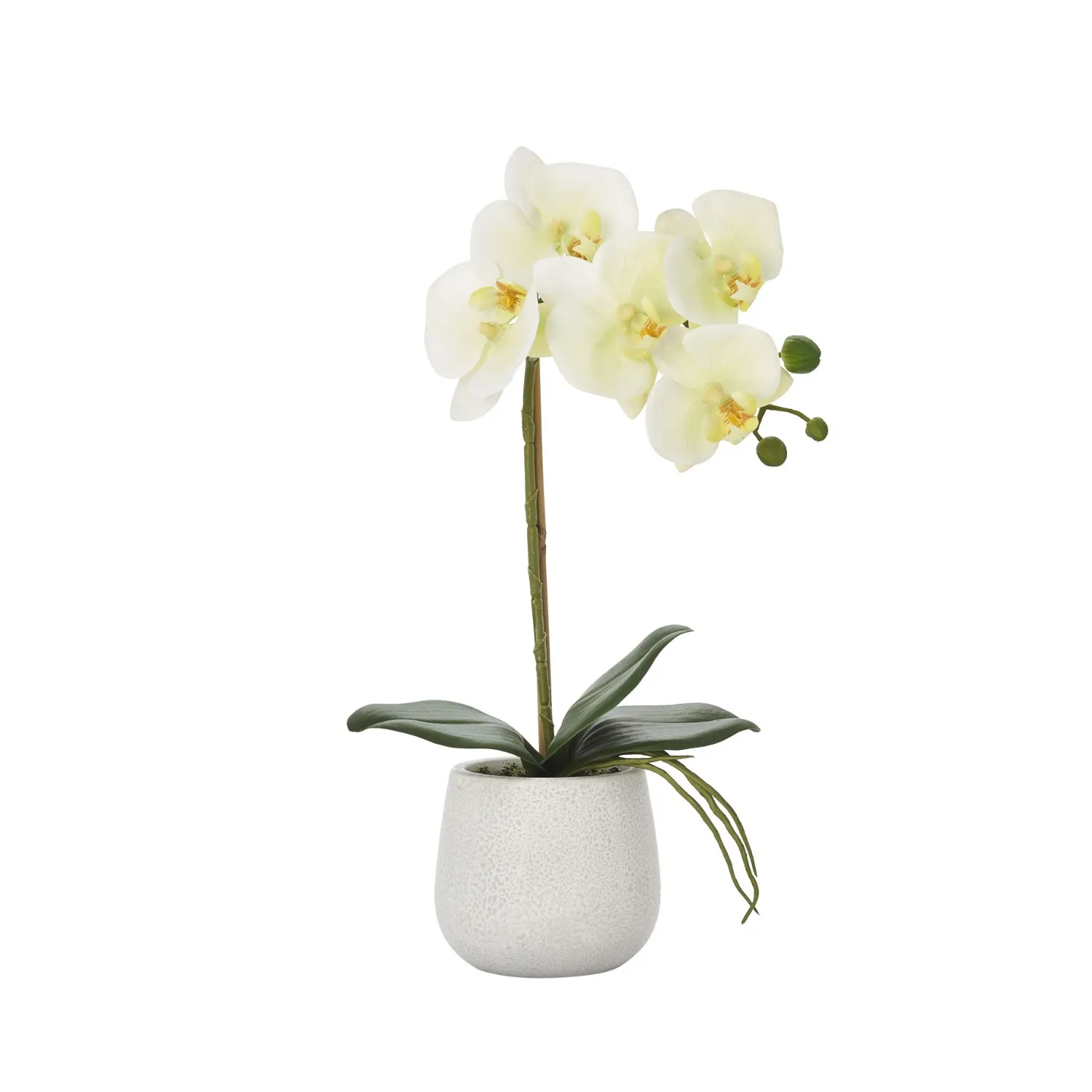 Decorative Faux Orchid