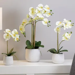 Decorative Faux Orchid