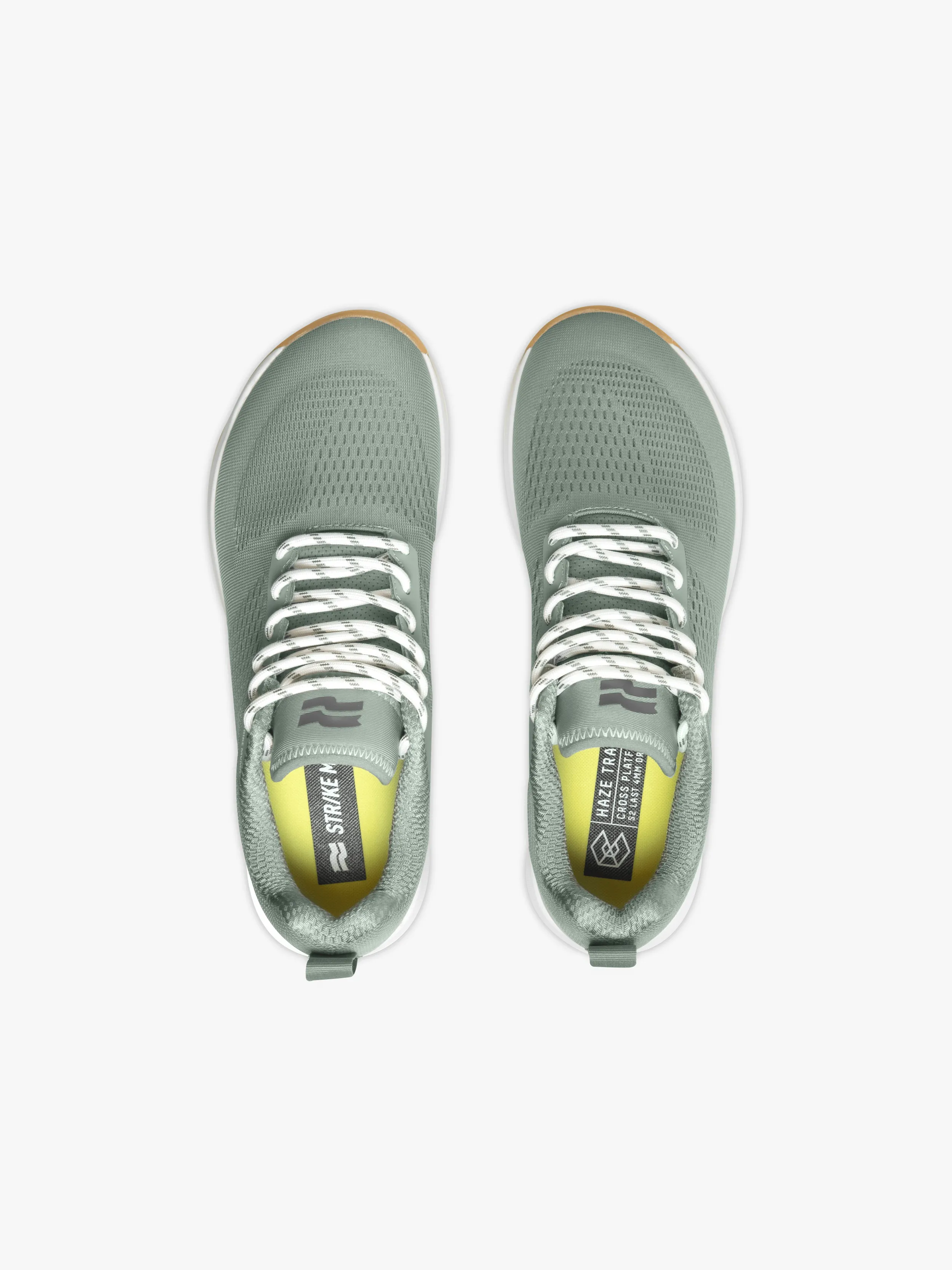 Haze Trainer