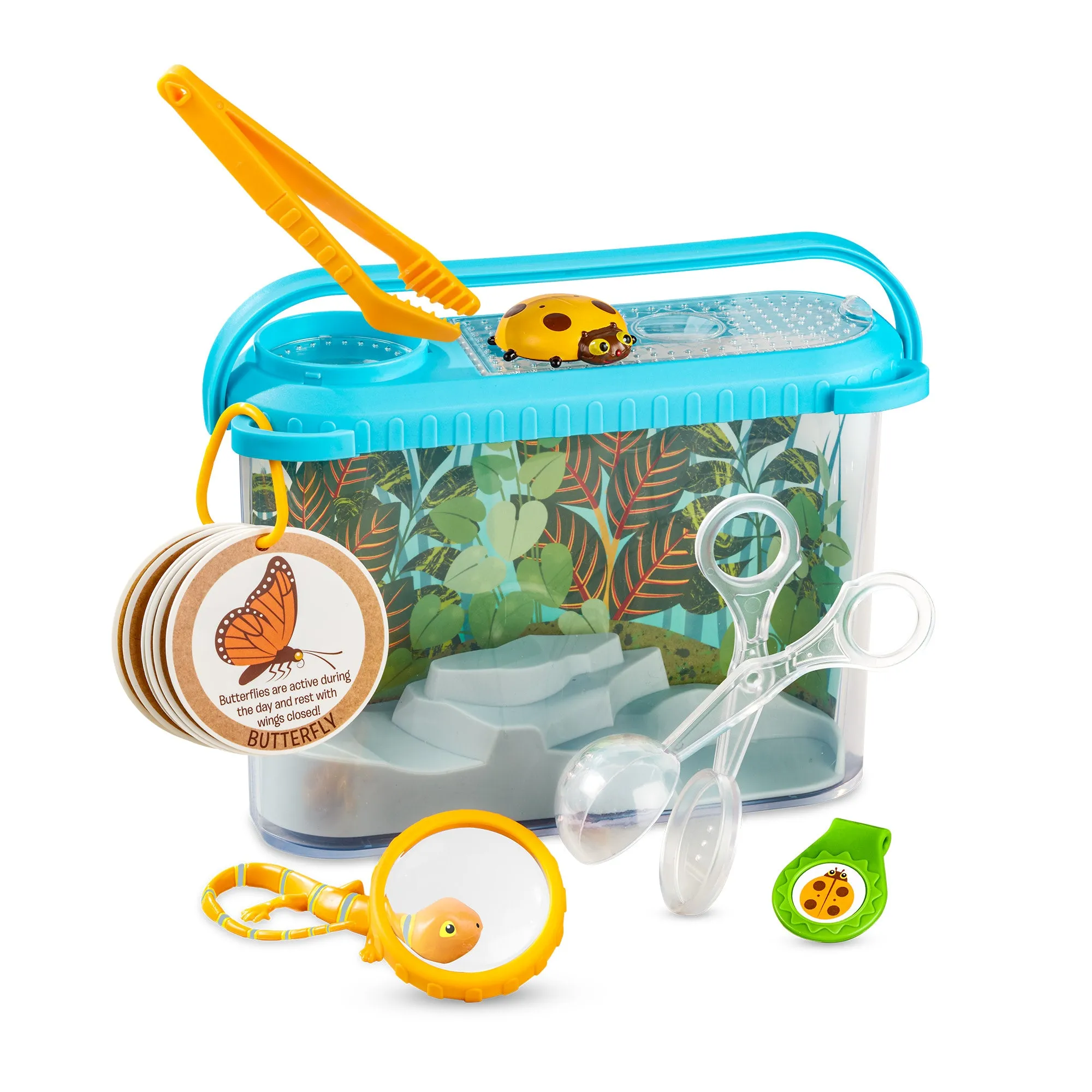 Let’s Explore Terrarium Observations Play Set