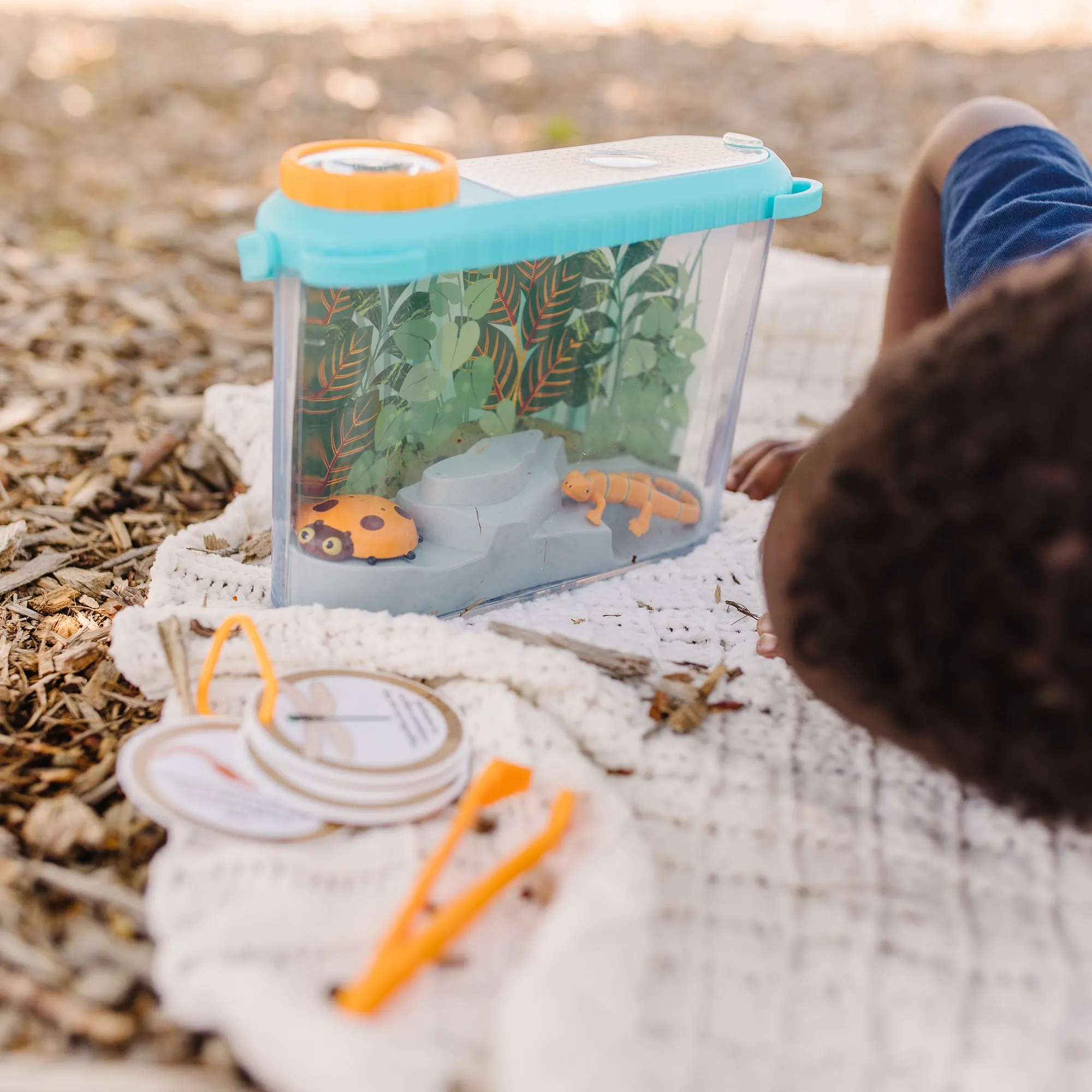 Let’s Explore Terrarium Observations Play Set