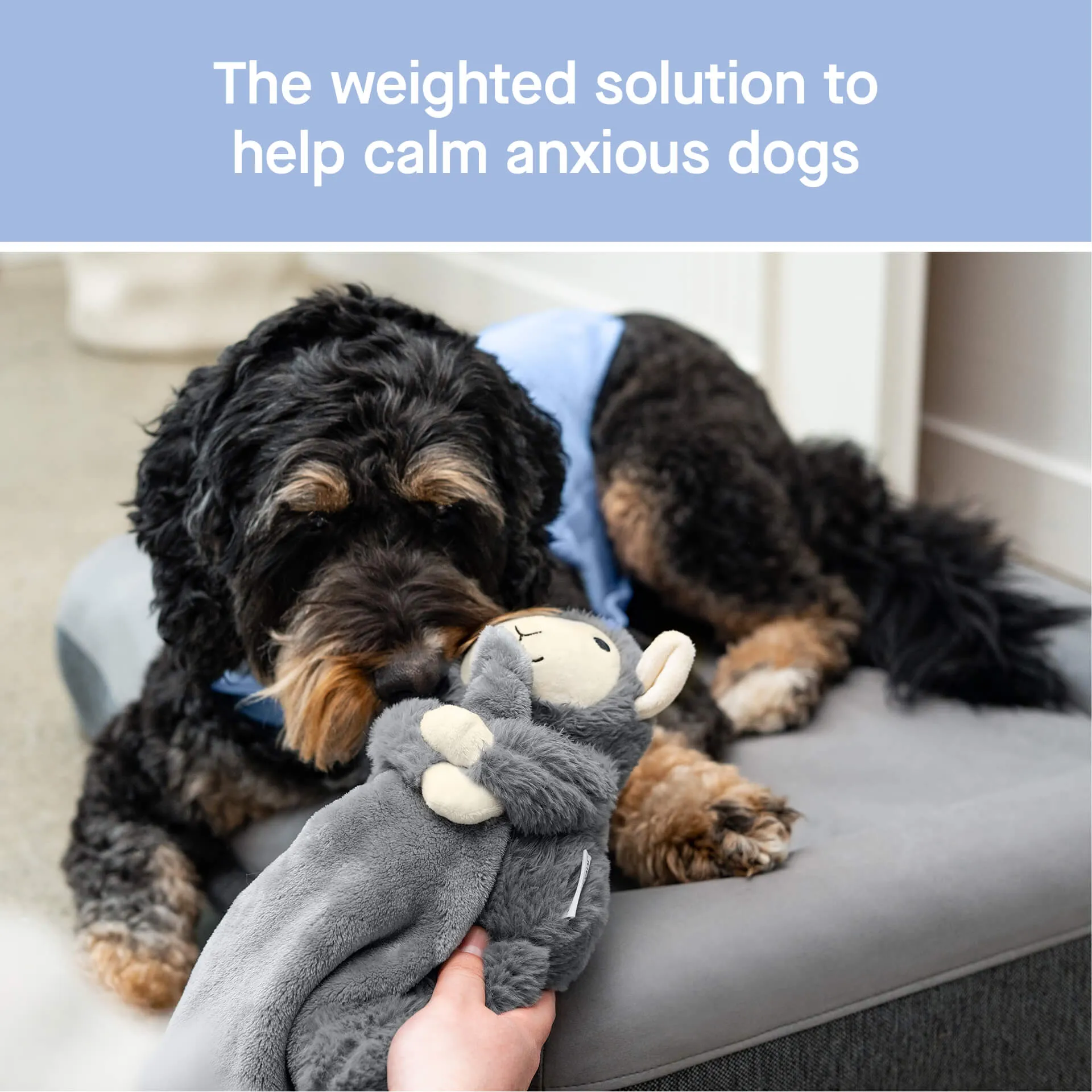 Weighted Calming Toy