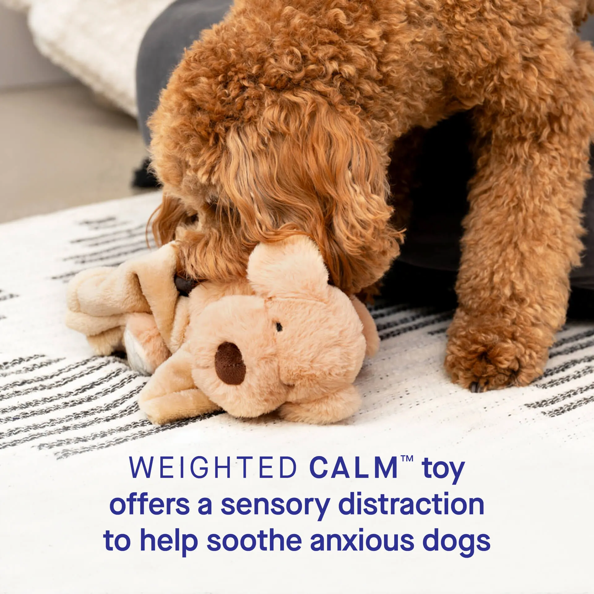 Weighted Calming Toy