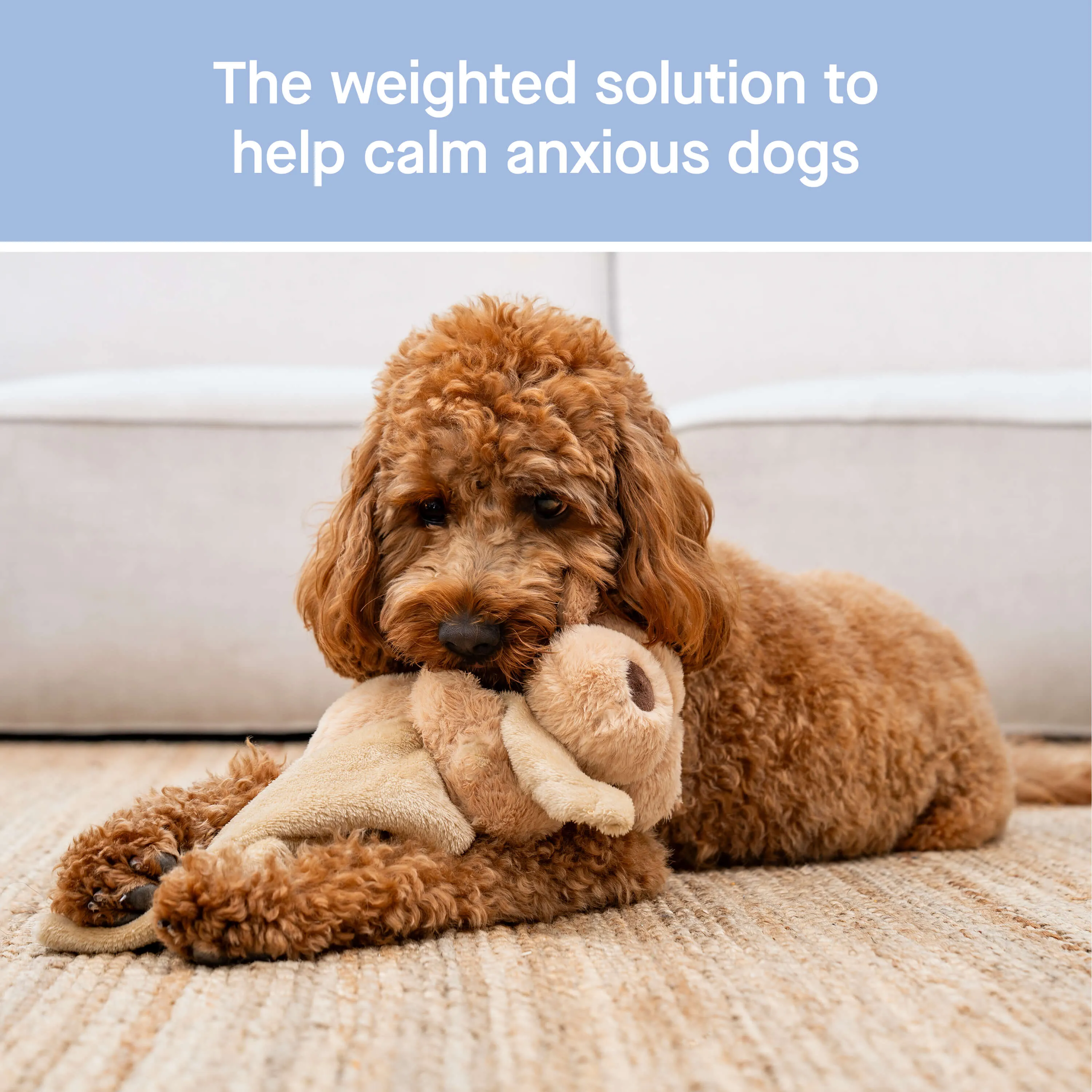 Weighted Calming Toy