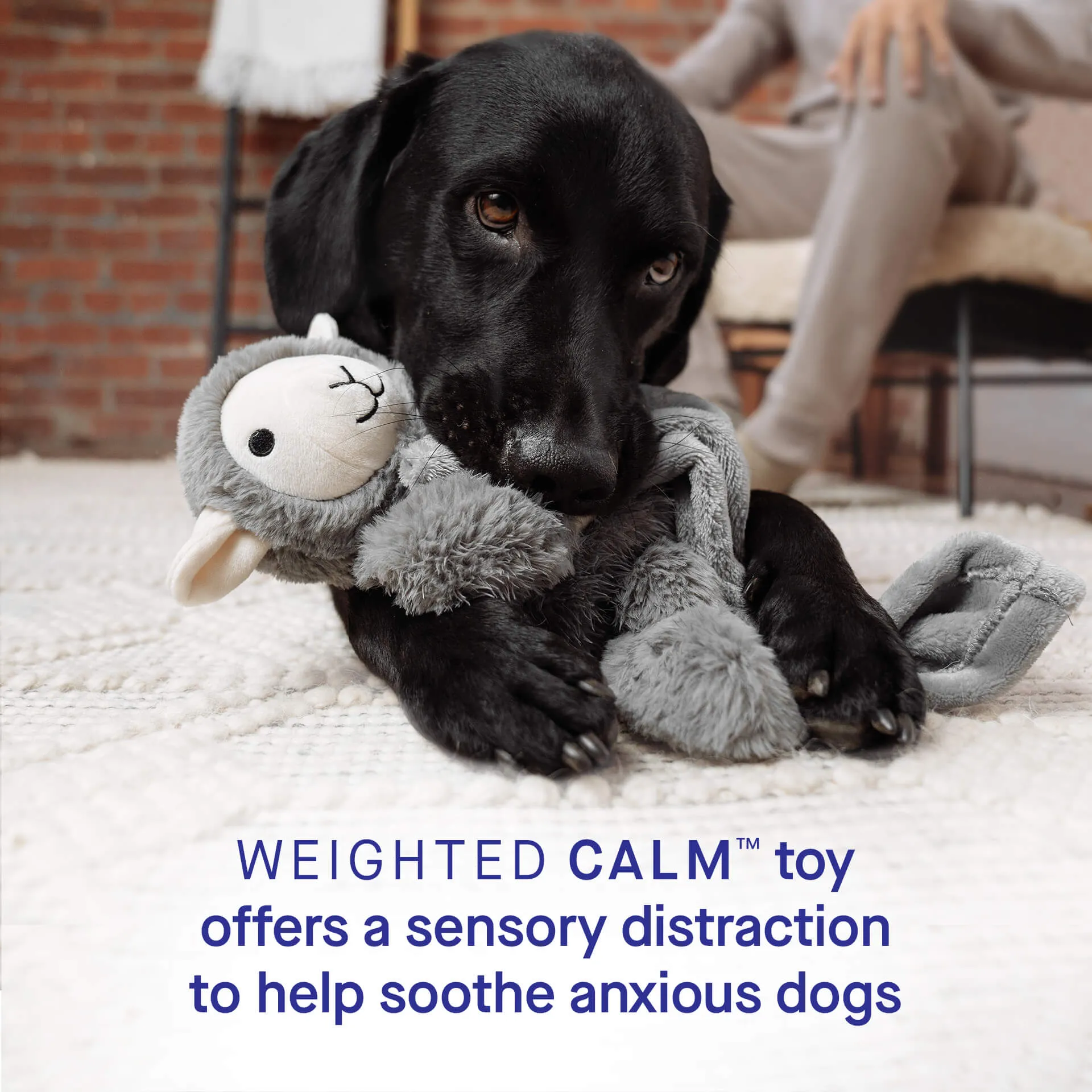 Weighted Calming Toy