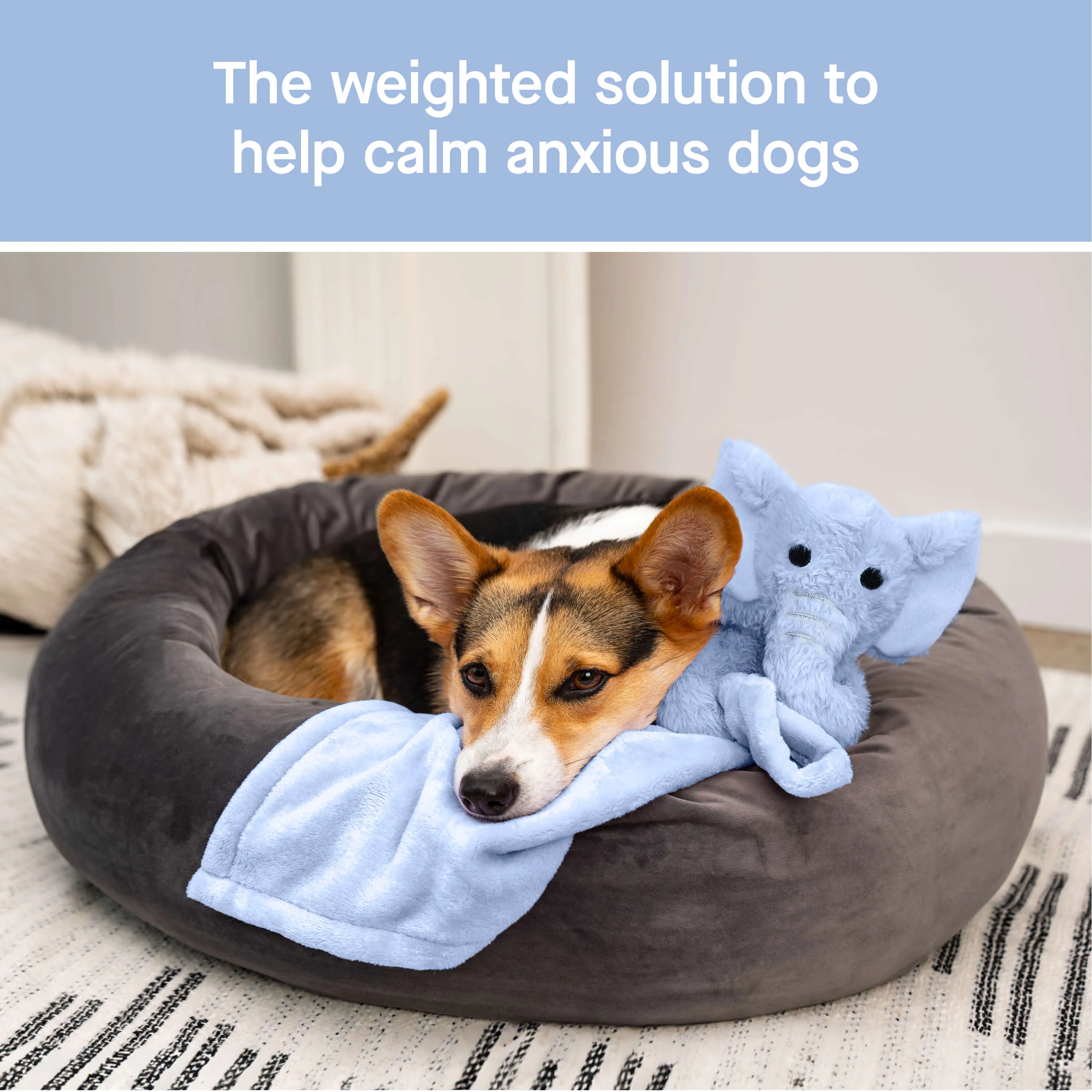 Weighted Calming Toy